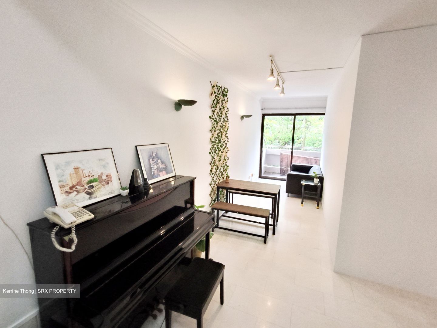 Equatorial Apartments (D15), Apartment #447427061